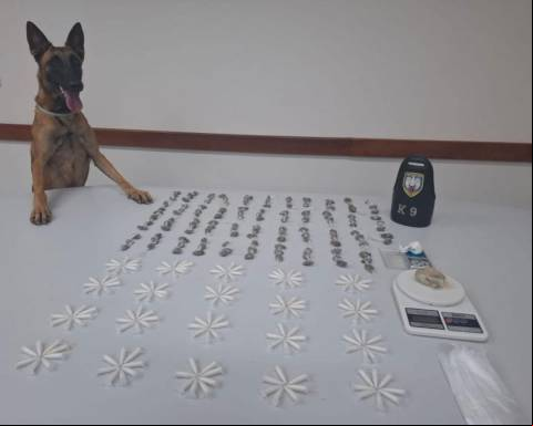Equipe K9 encontra drogas enterradas pela segunda vez na semana em Guaçuí